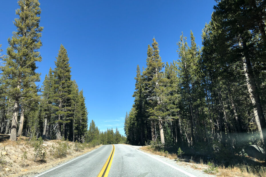 digital marketing seo road